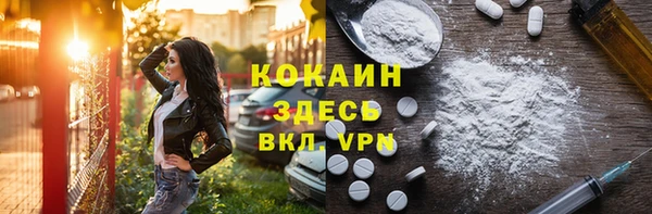 мет Каменка