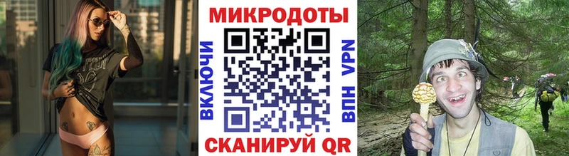 Псилоцибиновые грибы Cubensis  Купить где  Буй 
